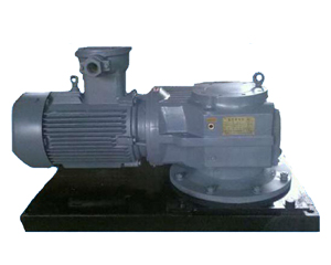 TCNJ-4-D齿轮搅拌器